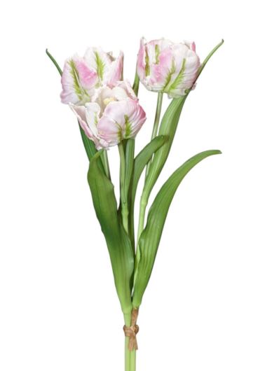 TULIPAN BUKIET GUMOWANY X3