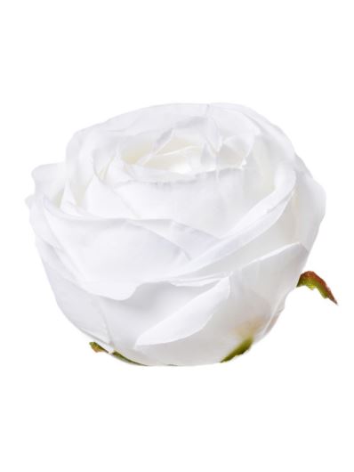 RÓŻA POPPY GŁOWA 9CM SUN564 PEARL WHITE