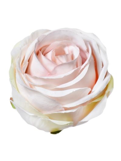 RÓŻA POPPY GŁOWA 9CM SUN564 LT PEACH LT GREEN