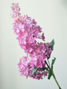 BEZ GAŁĄZKA GUMOWY 70CM MUTED FUCHSIA