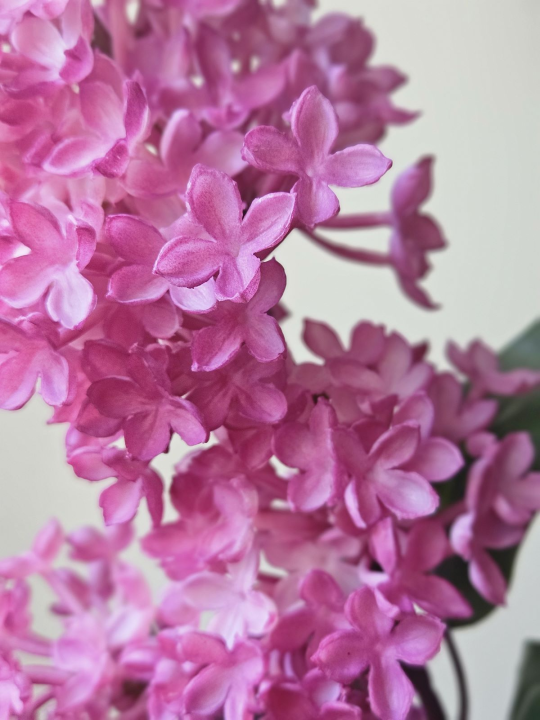 BEZ GAŁĄZKA GUMOWY 70CM MUTED FUCHSIA