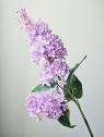 BEZ GAŁĄZKA GUMOWY 70CM PINK LILAC