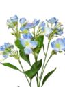JASMINOWIEC GAŁĄZKA KWITNĄCA 52CM BLUE