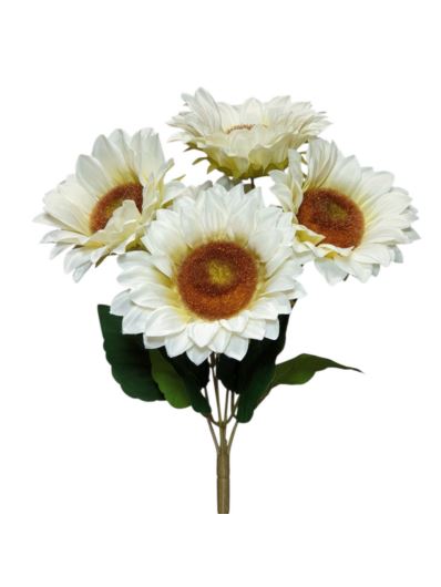 SŁONECZNIK X5 BUKIET 36CM CREAM