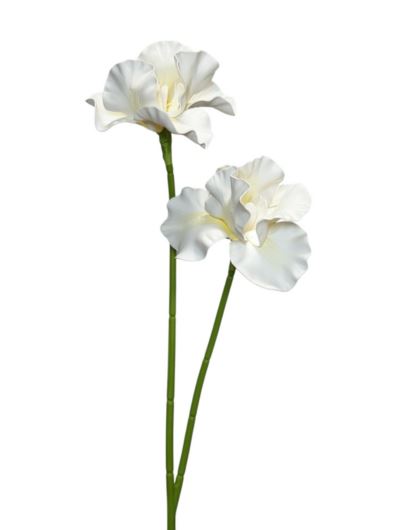 IRYS PIANKA 2 KWIATY 72CM ZHS36 WHITE