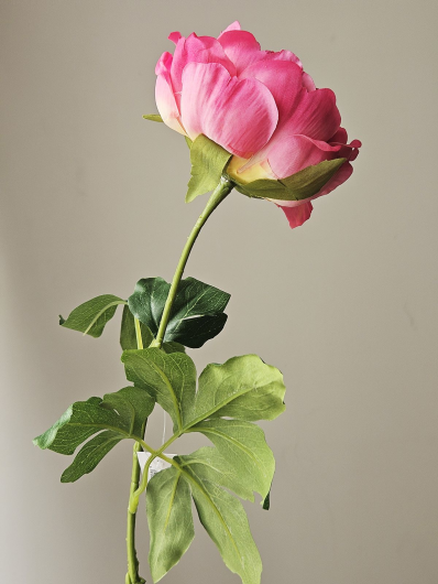 PEONIA NATURAL TOUCH 60CM 3401P DARK PINK
