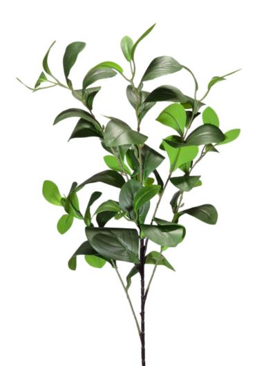 GAŁĄZKA CYTUSOWA LIŚCI POMARAŃCZY 85CM GREEN