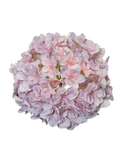 HORTENSJA GŁOWA 20CM CHQ07 14 LT MAUVE