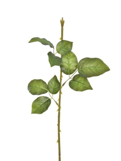 ŁODYGA DO RÓŻY 58CM ART289 GREEN