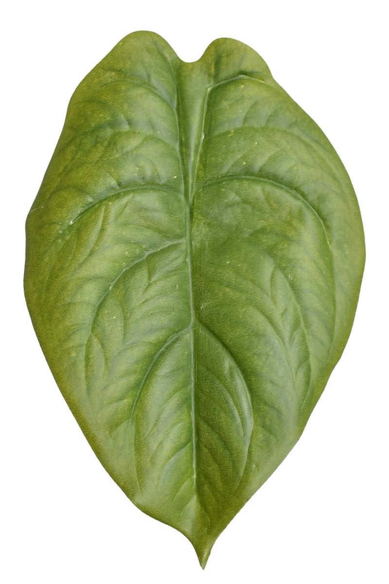 LIŚĆ ALOKAZJA 23CM JUN107 RT JUICY GREEN