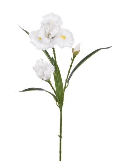 IRYS GAŁĄZKA 80CM TPY1005 RT WHITE