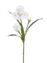IRYS GAŁĄZKA 80CM TPY1005 RT WHITE