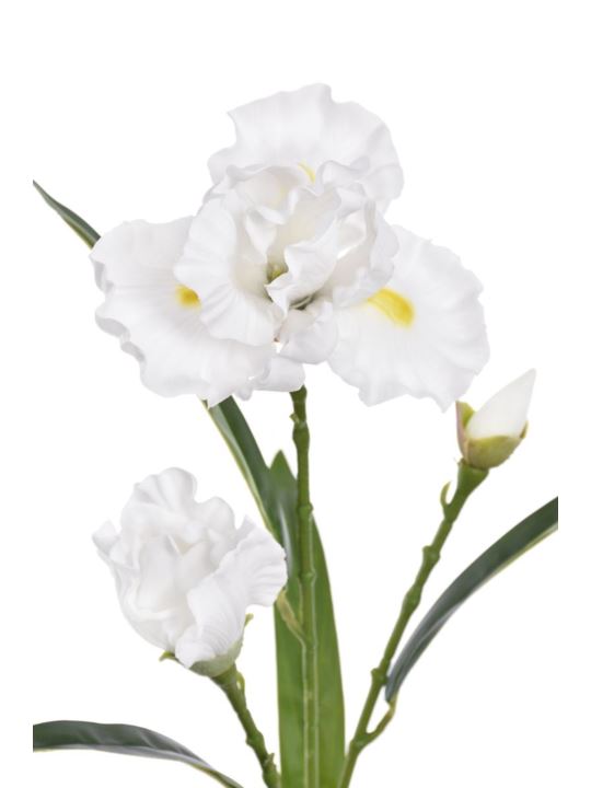 IRYS GAŁĄZKA 80CM TPY1005 RT WHITE
