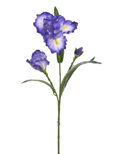 IRYS GAŁĄZKA 80CM TPY1005 RT VIOLET