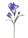 IRYS GAŁĄZKA 80CM TPY1005 RT VIOLET