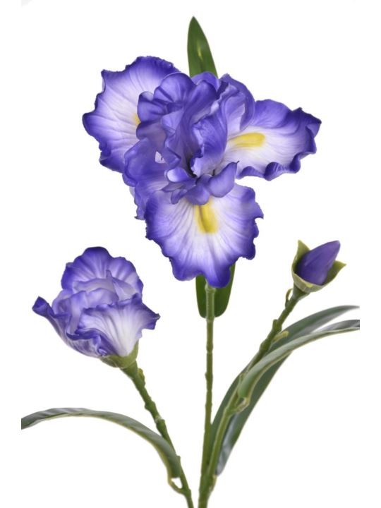 IRYS GAŁĄZKA 80CM TPY1005 RT VIOLET