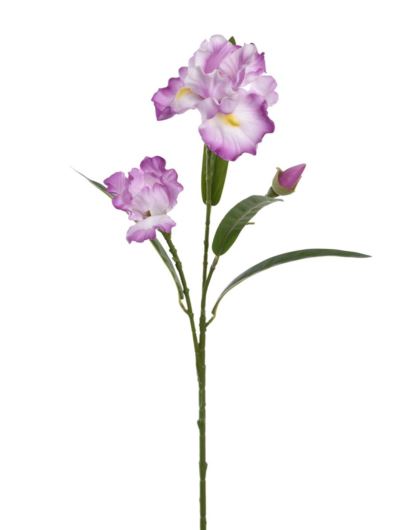 IRYS GAŁĄZKA 80CM TPY1005 RT PINK