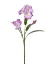 IRYS GAŁĄZKA 80CM TPY1005 RT PINK