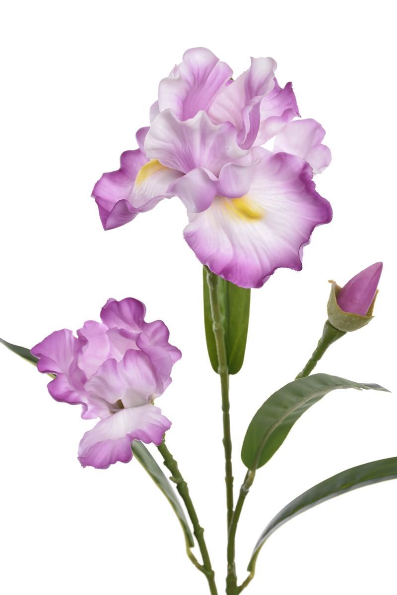 IRYS GAŁĄZKA 80CM TPY1005 RT PINK