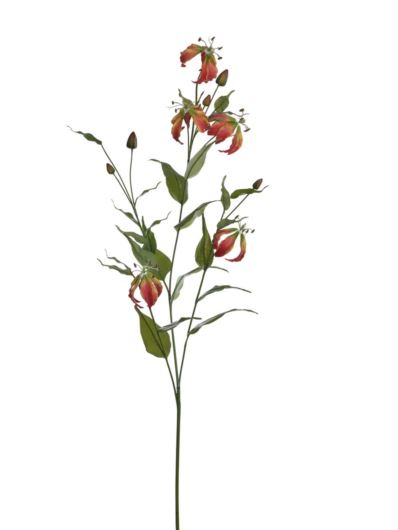 GLORIOZA GAŁĄZKA UNI1002 130CM RED GREEN