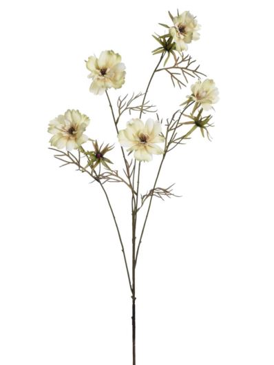 WARSZAWIANKA – KOSMOS 95CM KLM1230 OLIVE