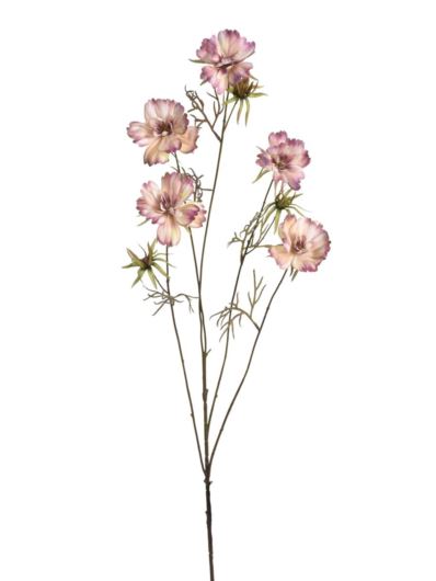 WARSZAWIANKA – KOSMOS 95CM KLM1230 DIRTY PINK