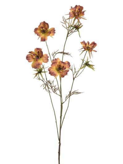 WARSZAWIANKA – KOSMOS 95CM KLM1230 BROWN