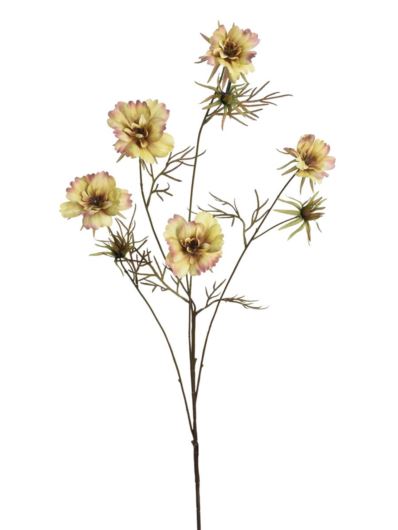 WARSZAWIANKA – KOSMOS 95CM KLM1230 DIRTY CREAM