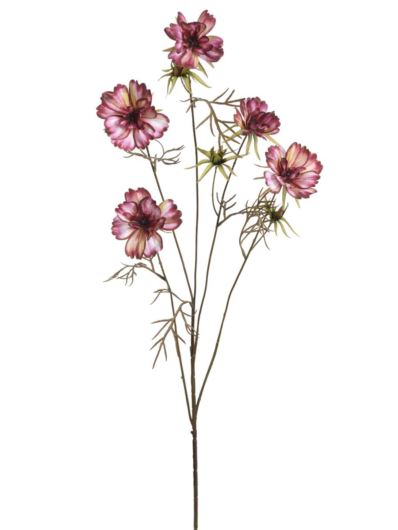 WARSZAWIANKA – KOSMOS 95CM KLM1230CR EDGE BEAUTY