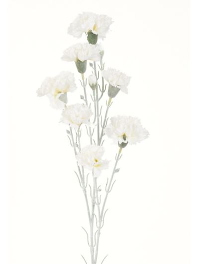 GOŻDZIK GAŁĄZKA 7 KWIATÓW 72CM WHITE CREAM