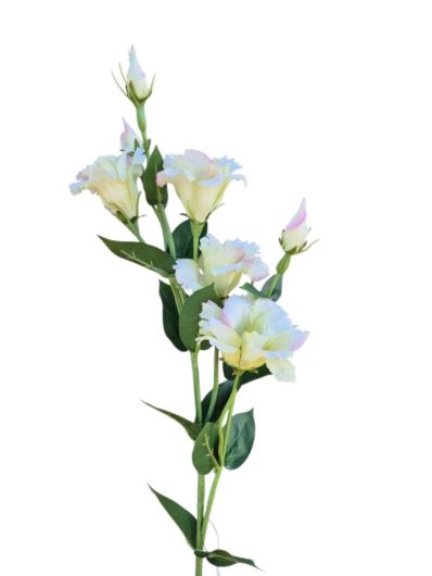 EUSTOMA GAŁĄZKA 83CM SUN345 LT PINK LT GREEN
