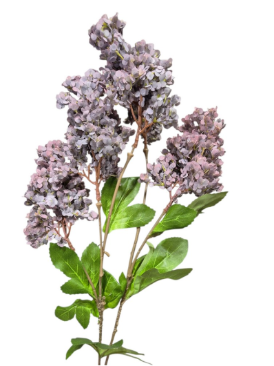 GAŁĄZKA BEZ 5 KWIATÓW 72CM PURPLE