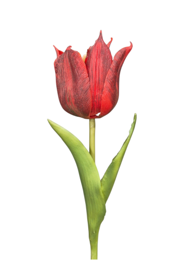 TULIPAN NATURALNY W DOTYKU - GUMA 25CM / 4710 RED