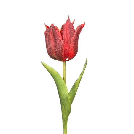 TULIPAN NATURALNY W DOTYKU - GUMA 25CM / 4710 RED