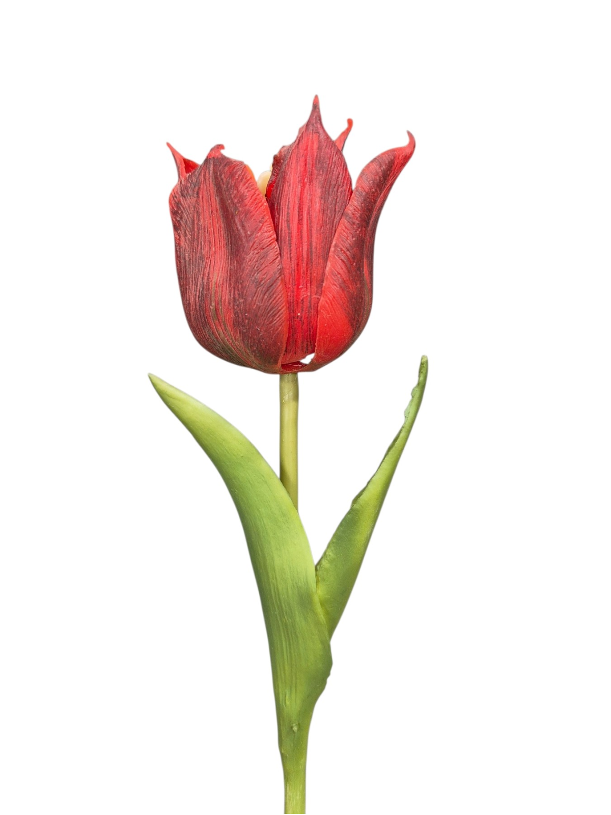 TULIPAN NATURALNY W DOTYKU - GUMA 25CM / 4710 RED