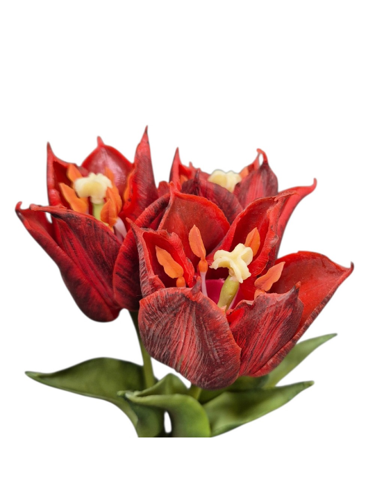 TULIPAN NATURALNY W DOTYKU - GUMA 25CM / 4710 RED