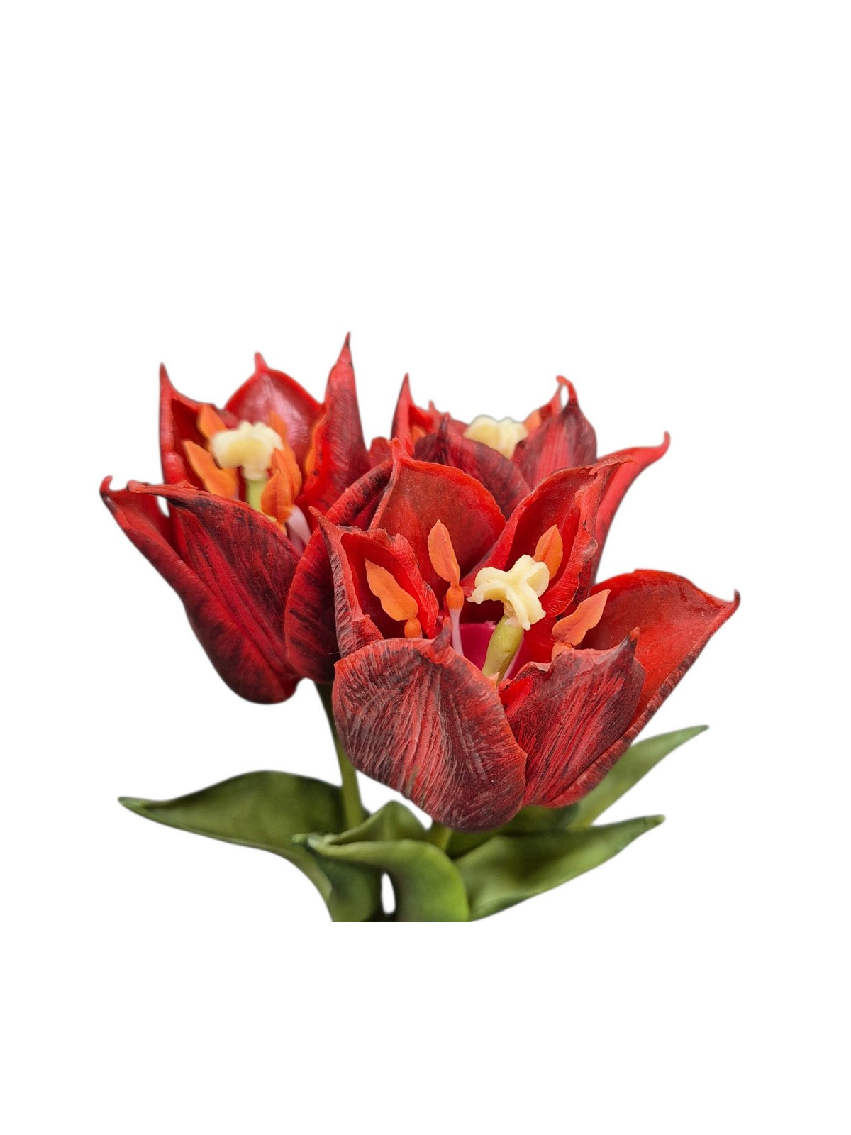 TULIPAN NATURALNY W DOTYKU - GUMA 25CM / 4710 RED