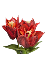 TULIPAN NATURALNY W DOTYKU - GUMA 25CM / 4710 RED