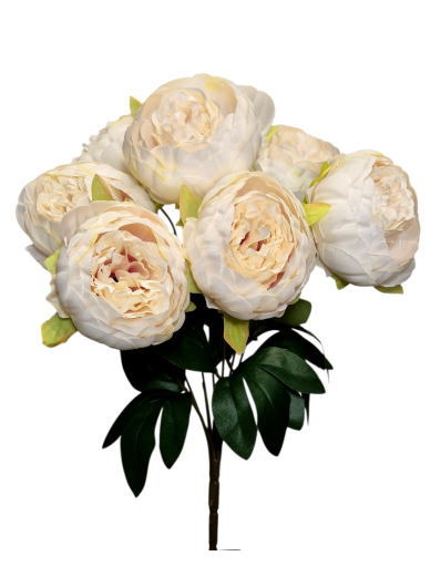 PEONIA BUKIET 7 KWIATÓW 41CM CREAM