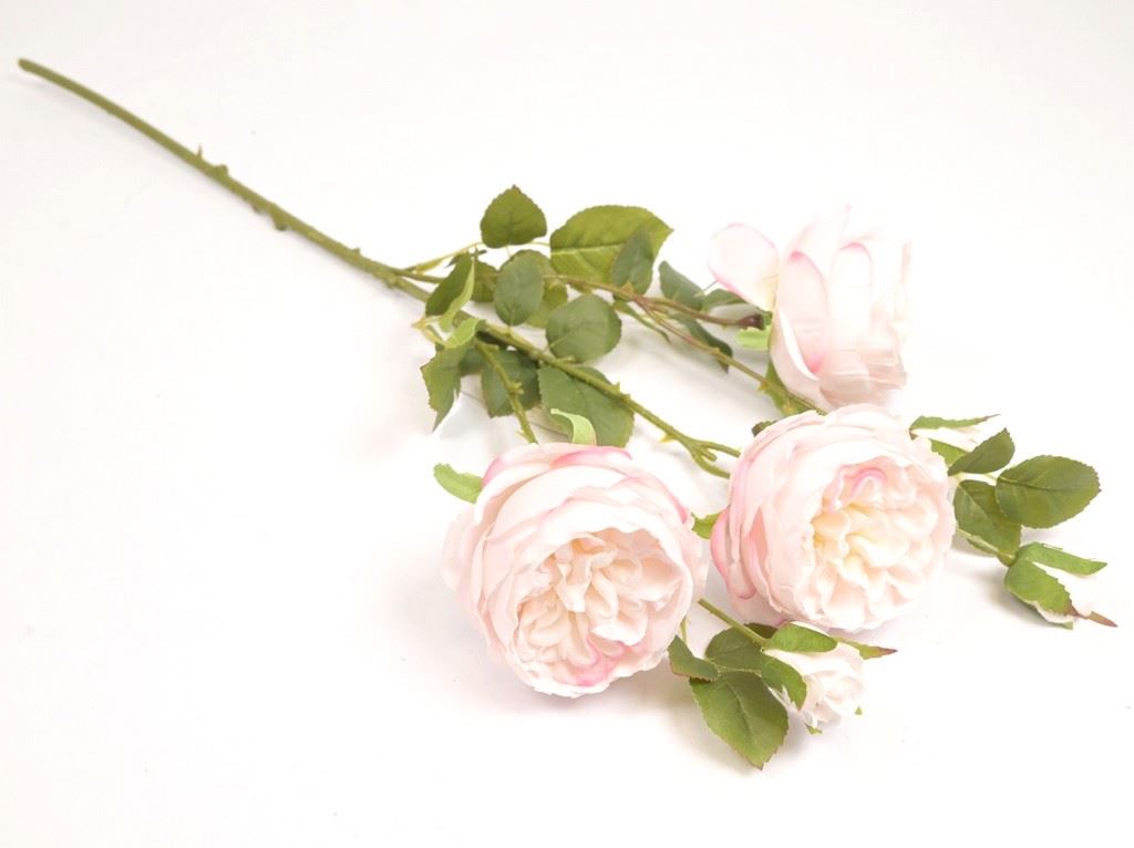 RÓŻA ANGIELSKA GAŁĄZKA 62CM GSF0600 LT PINK