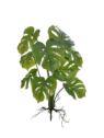 MONSTERA MAŁA BUKIET 32CM ART IVY12 GREEN