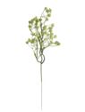 GIPSÓWKA NA PIKU 43CM LIU547 GREEN