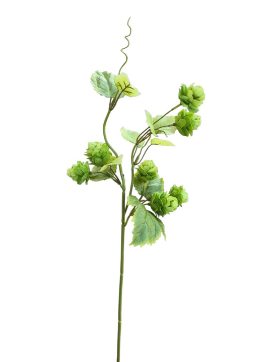 CHMIEL GAŁĄZKA 55CM /9820 LT GREEN