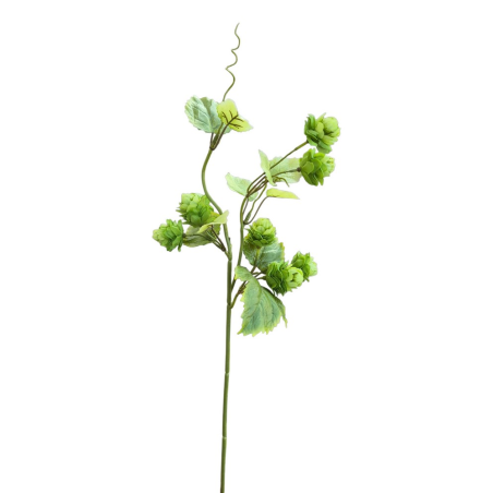 CHMIEL GAŁĄZKA 55CM /9820 LT GREEN