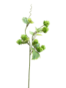 CHMIEL GAŁĄZKA 55CM /9820 LT GREEN