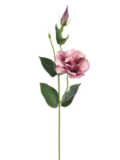 EUSTOMA NA PIKU 47CM SUN357 MAUVE