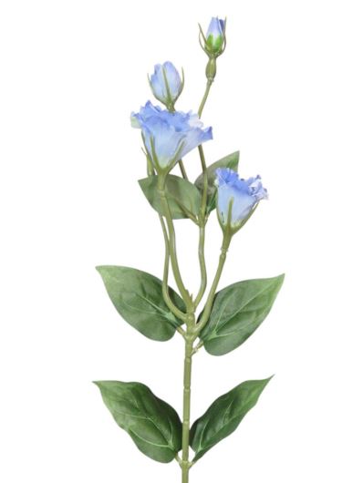EUSTOMA DROBNA PICK 56CM LZ021E LT BLUE