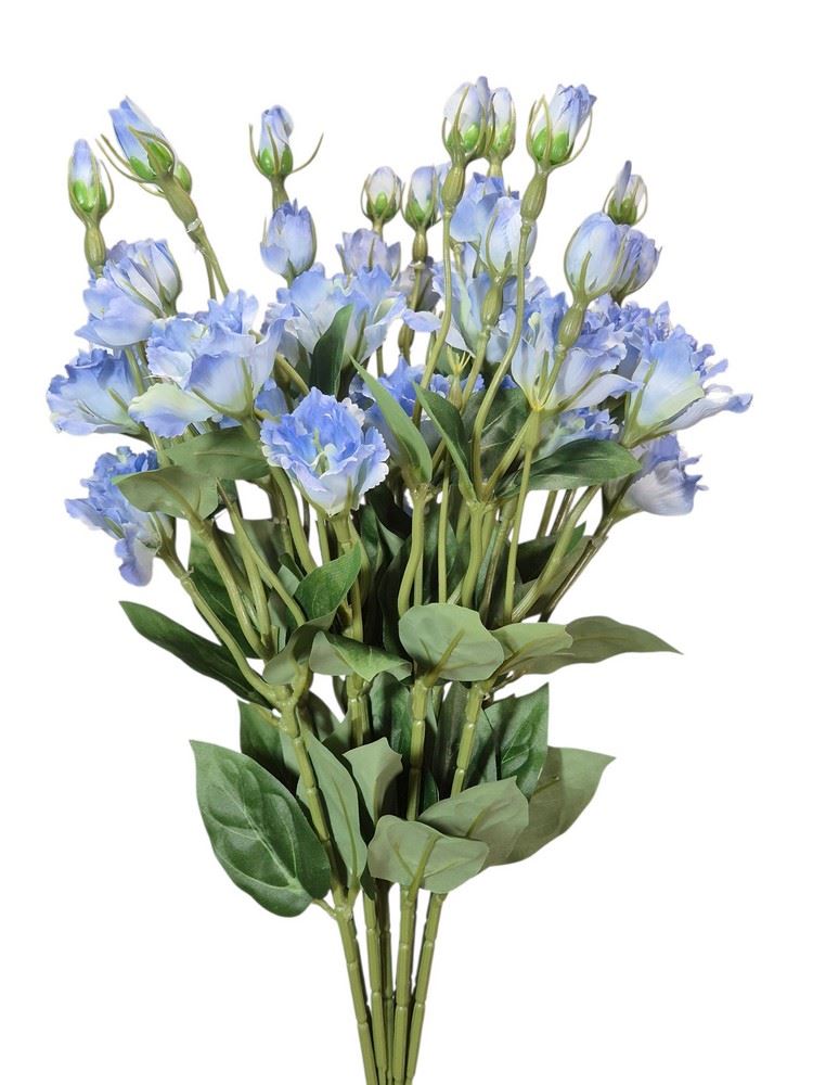 EUSTOMA DROBNA PICK 56CM LZ021E LT BLUE