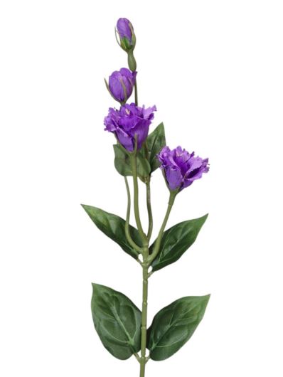 EUSTOMA DROBNA PICK 56CM LZ021E PURPLE VIOLET