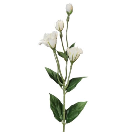 EUSTOMA DROBNA PICK 56CM LZ021E WHITE